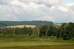 Killikus&reg; Fotographie